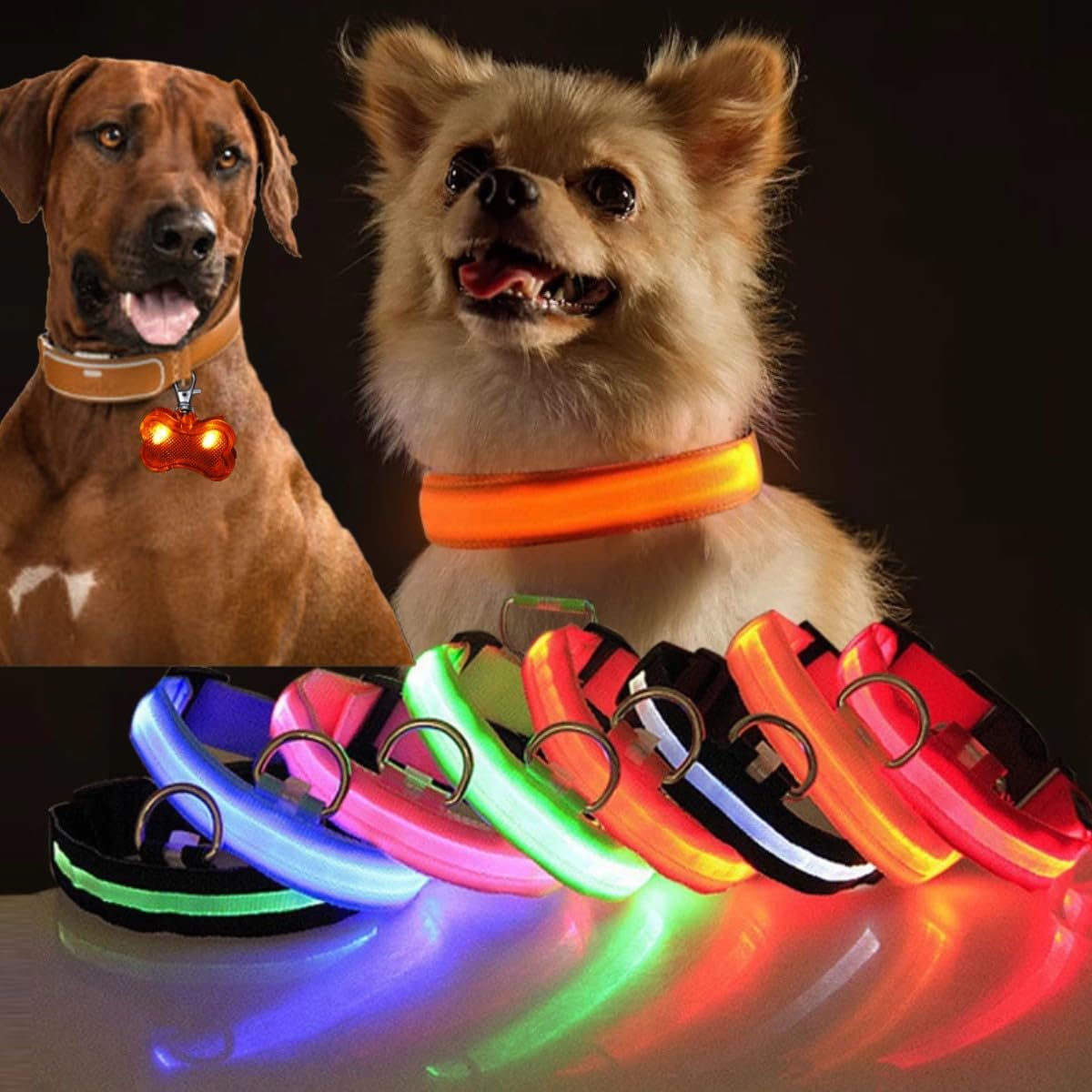 KARLOR Light up Dog Collar with LED Bone shaped Light Attachments - Image 3