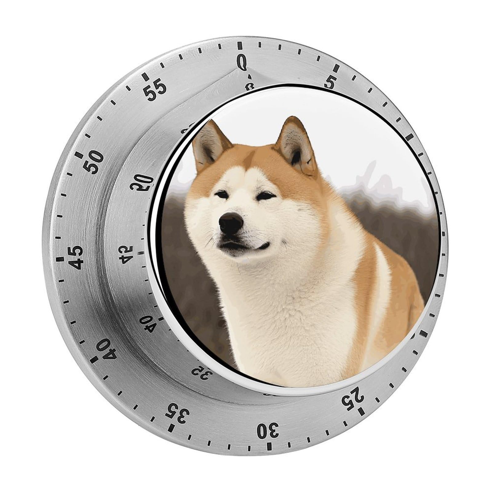 Akita Visual Timer with Loud Alarm 60-Minute Kitchen Timers Exquisite Stainless Steel Body - Mechanical Desk Timer Countdown Clock for Cooking Chef Clock