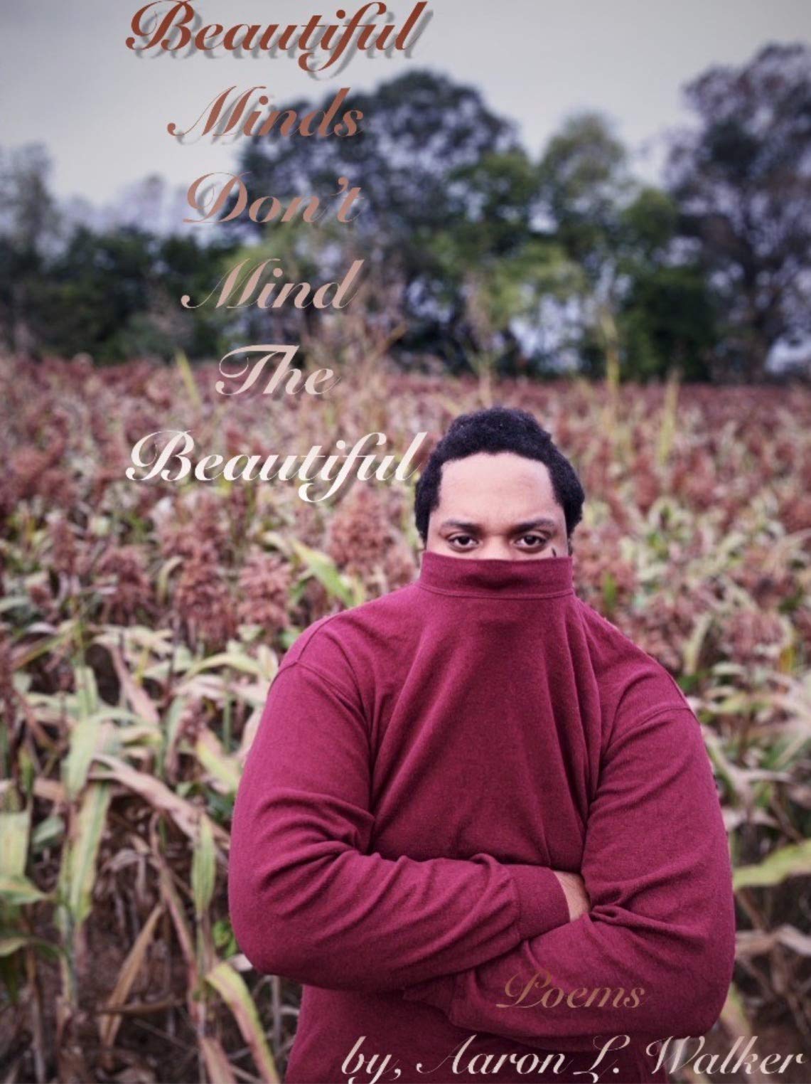 Beautiful Minds Don't Mind The Beautiful (Aaron Walker)