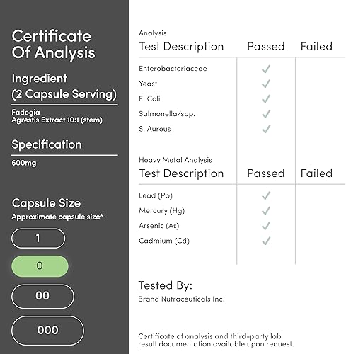 Miniatura 8 de Fadogia Agrestis 600 mg por porción (180 cápsulas) Potente extracto para apoyar el rendimiento atlético (probado por terceros, sin OMG, vegano, sin