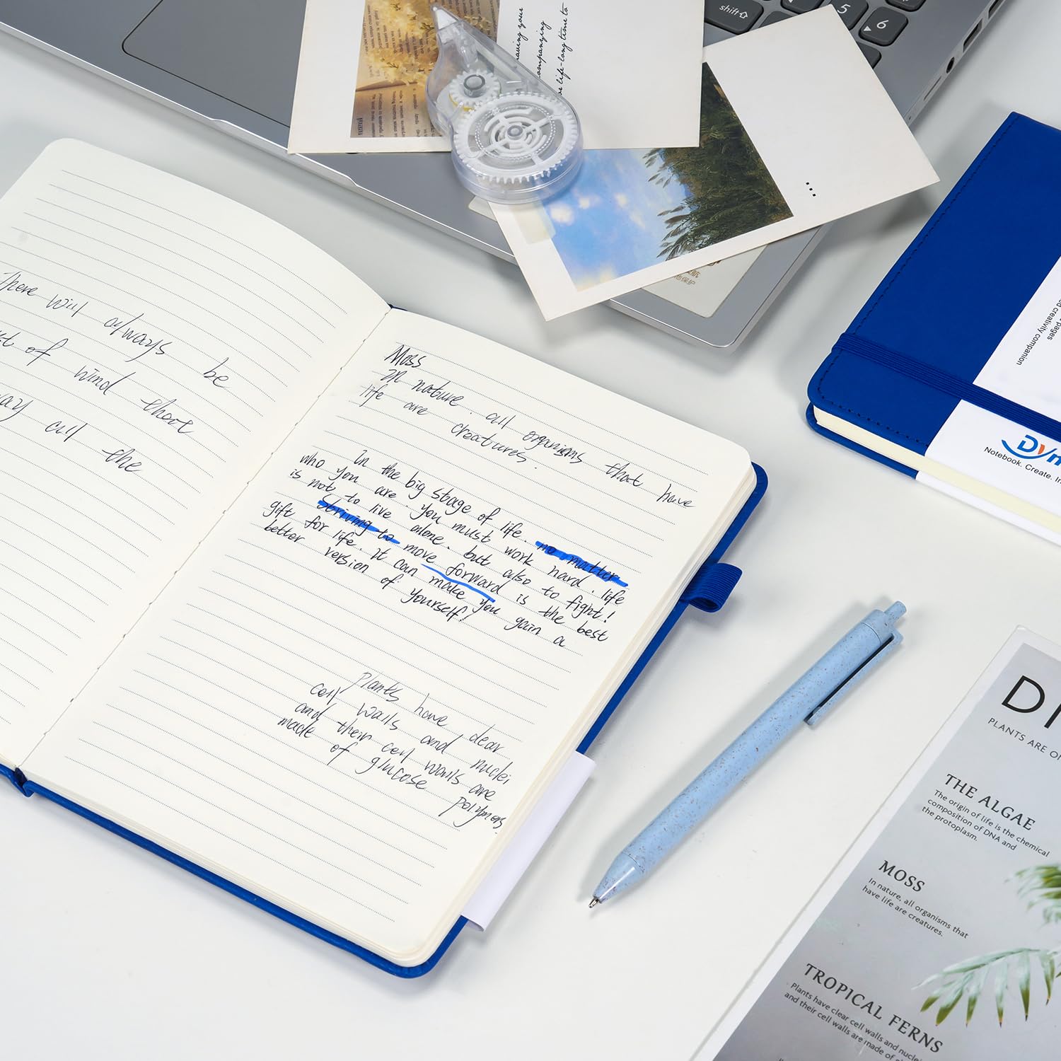 Dynta Confezione da 10 quaderni con copertina rigida, formato A5, a righe, 160 pagine/80 fogli, con passante per penna, per lavoro, scrittura, prendere appunti (blu)