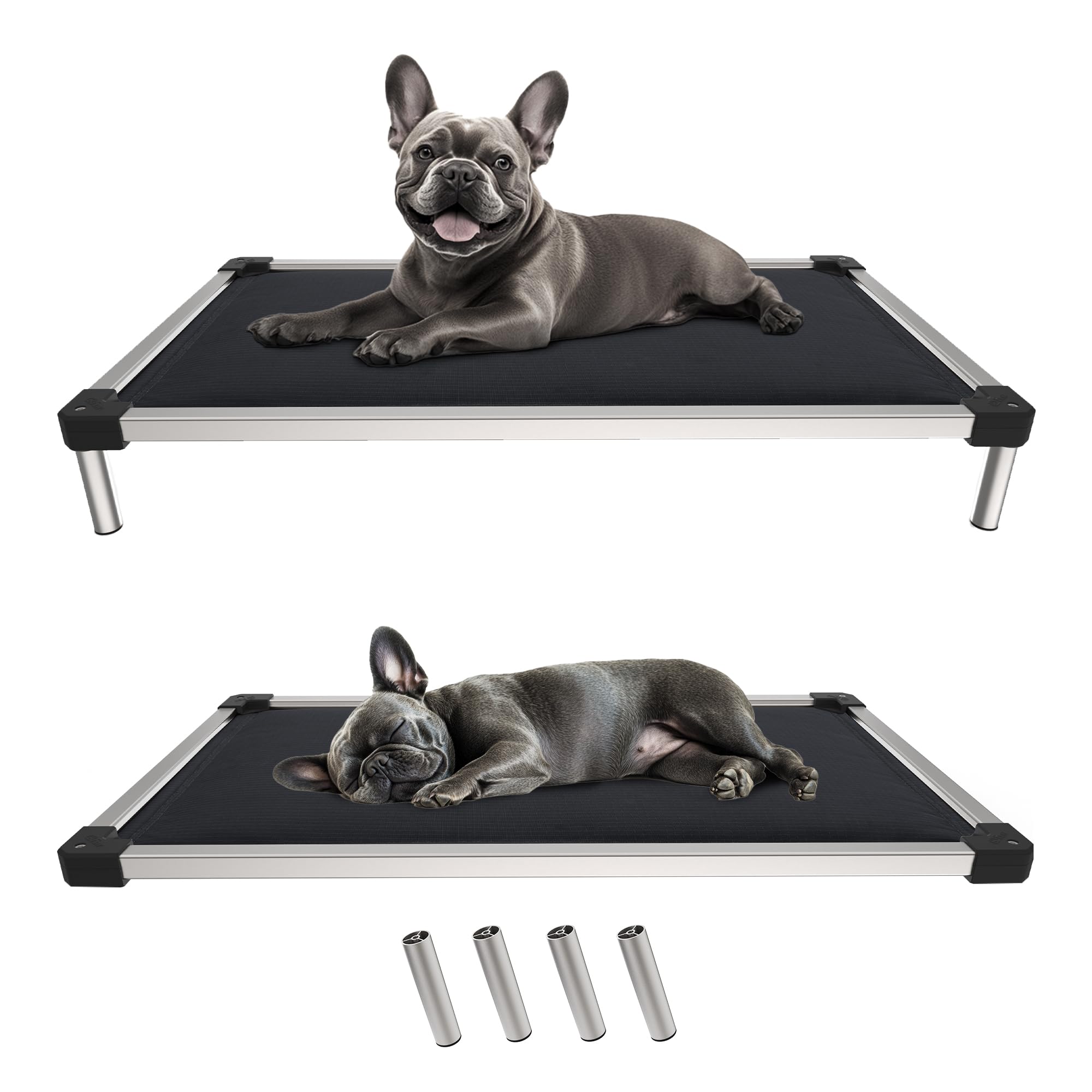 FXW TitanNest Padded Chew-Proof Elevated Dog Bed for Extra-Small Dogs — image 1