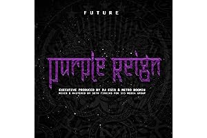 Purple Reign: The Analog Obsession's DS2 Remaster on Vinyl