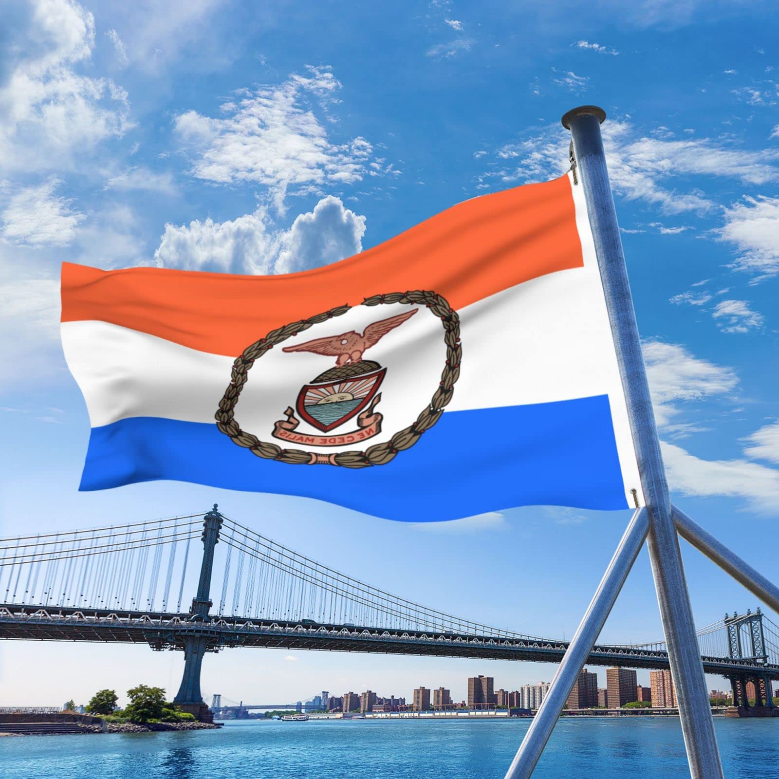 Amazon.com : Flag Of Borough Of The Bronx Flag 5x8 Ft Double-Sided