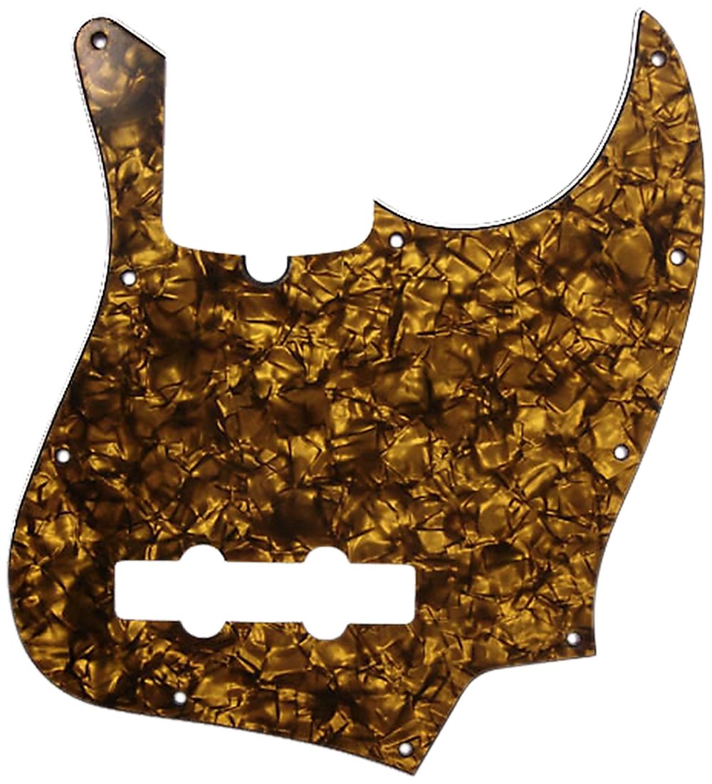 ビカクシダ P.Gold Pearl OC ビカクシダ P.Gold Pearl OC ビカクシダ P.Gold Pearl OC 謎多きビカク