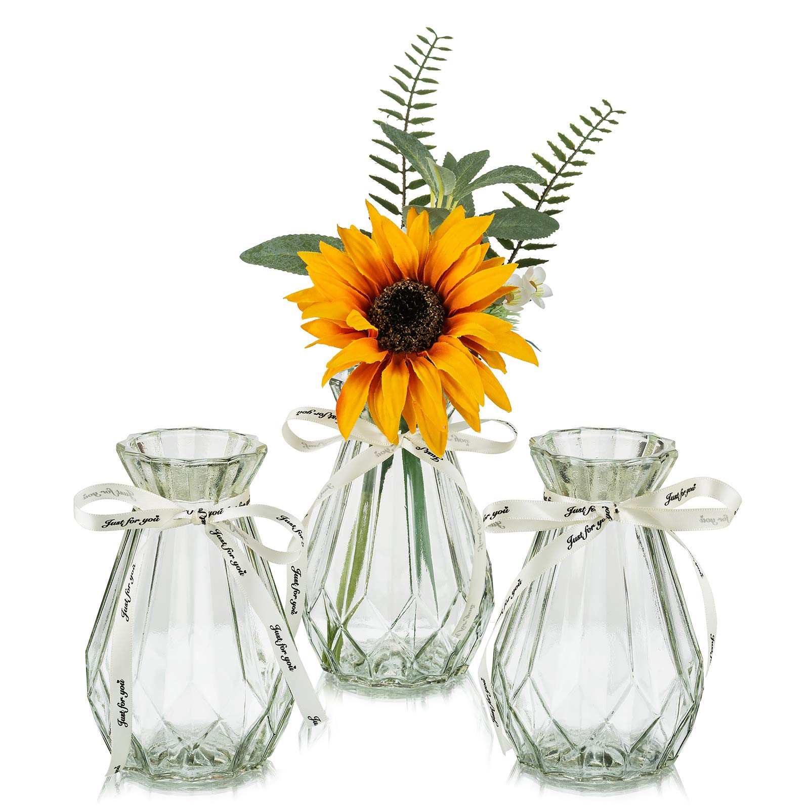 GlasseamClear Glass Vase for Flowers, Set of 3 Bulb Vase for Forcing Hyacinth Bulbs, Small Vases for Centerpieces, Decorative Bud Flower Vase for Home Decor Living Room Wedding Table Decorations