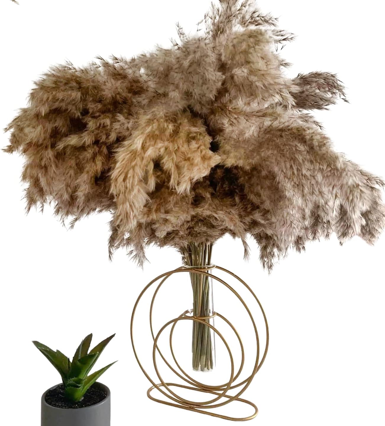 CIXICM 65Pcs Pampas Grass, Fluffy Pampas Grass Decor, Natural Dried Flowers Bouquet Dry Grass