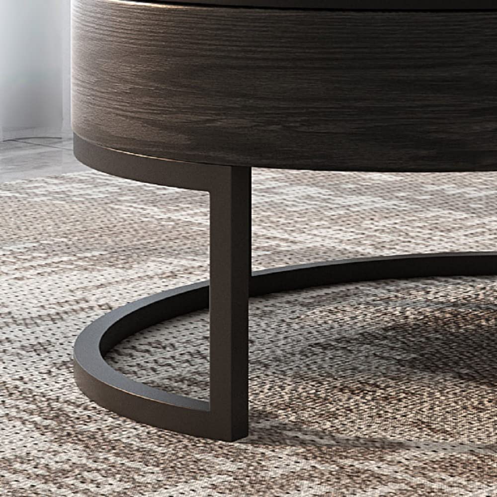 Buy Homary Round Coffee Table Storage LiftTop Wood Coffee Table Lifts