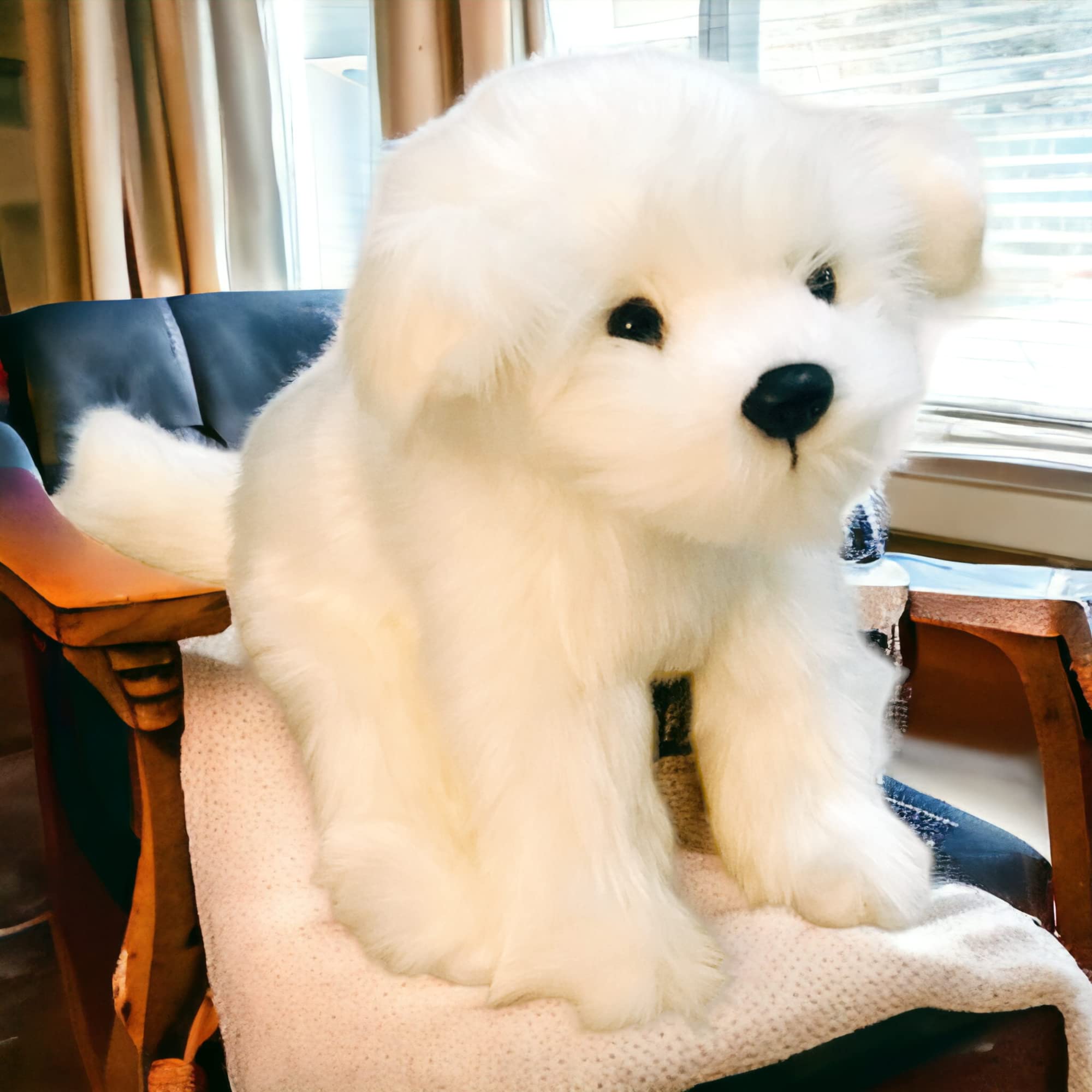 What Kind Of Dog Toys Does A Havanese Like