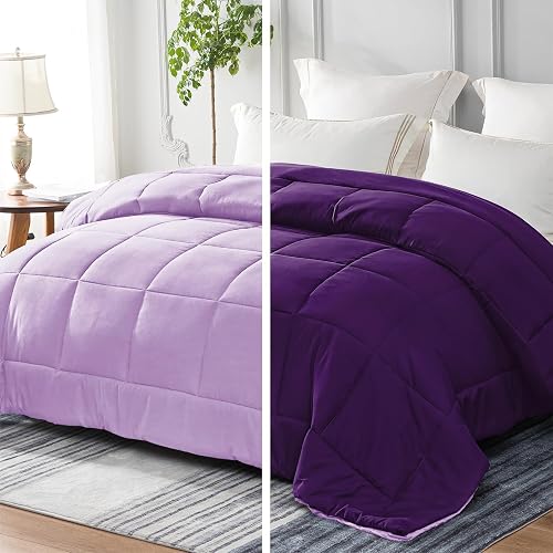 Flotilla Couette Réversible pour lit 2 Personnes 220 x 240 Whale