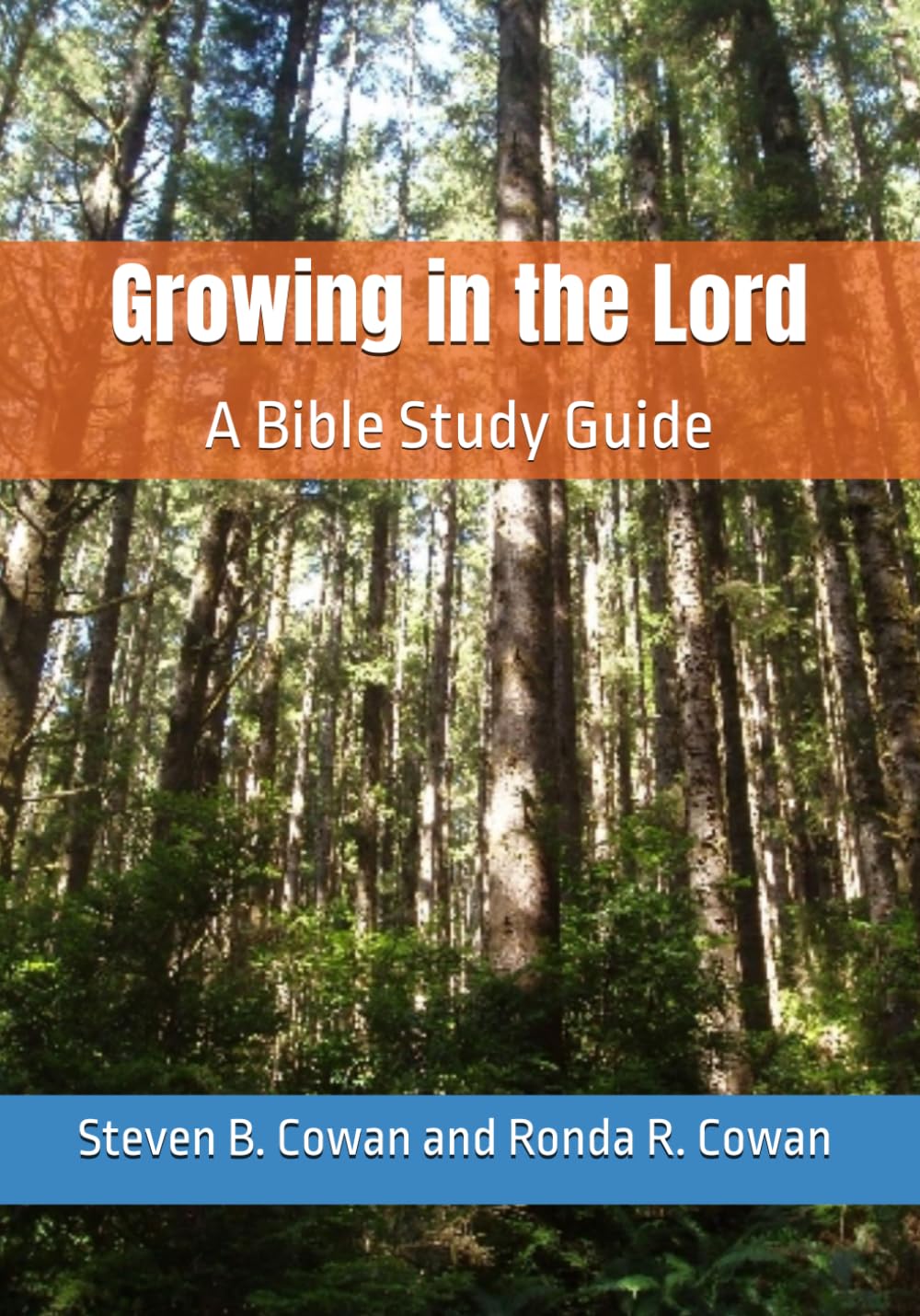 Growing in the Lord: A Bible Study Guide