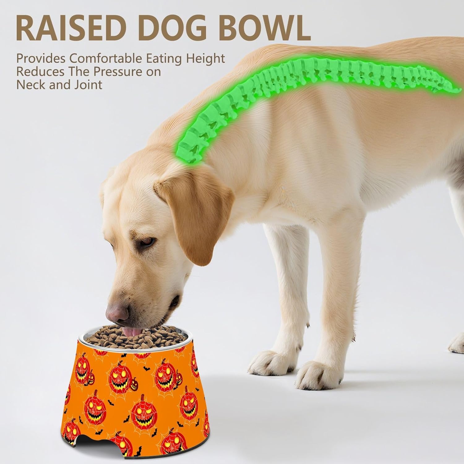 Spiderweb Bats Pumpkin Halloween Pet Bowl Elevated Dog Bowls with Stainless Steel, Raised Dog Bowl for Comfortable Feeding and Easy Cleaning, for Pets.23300937