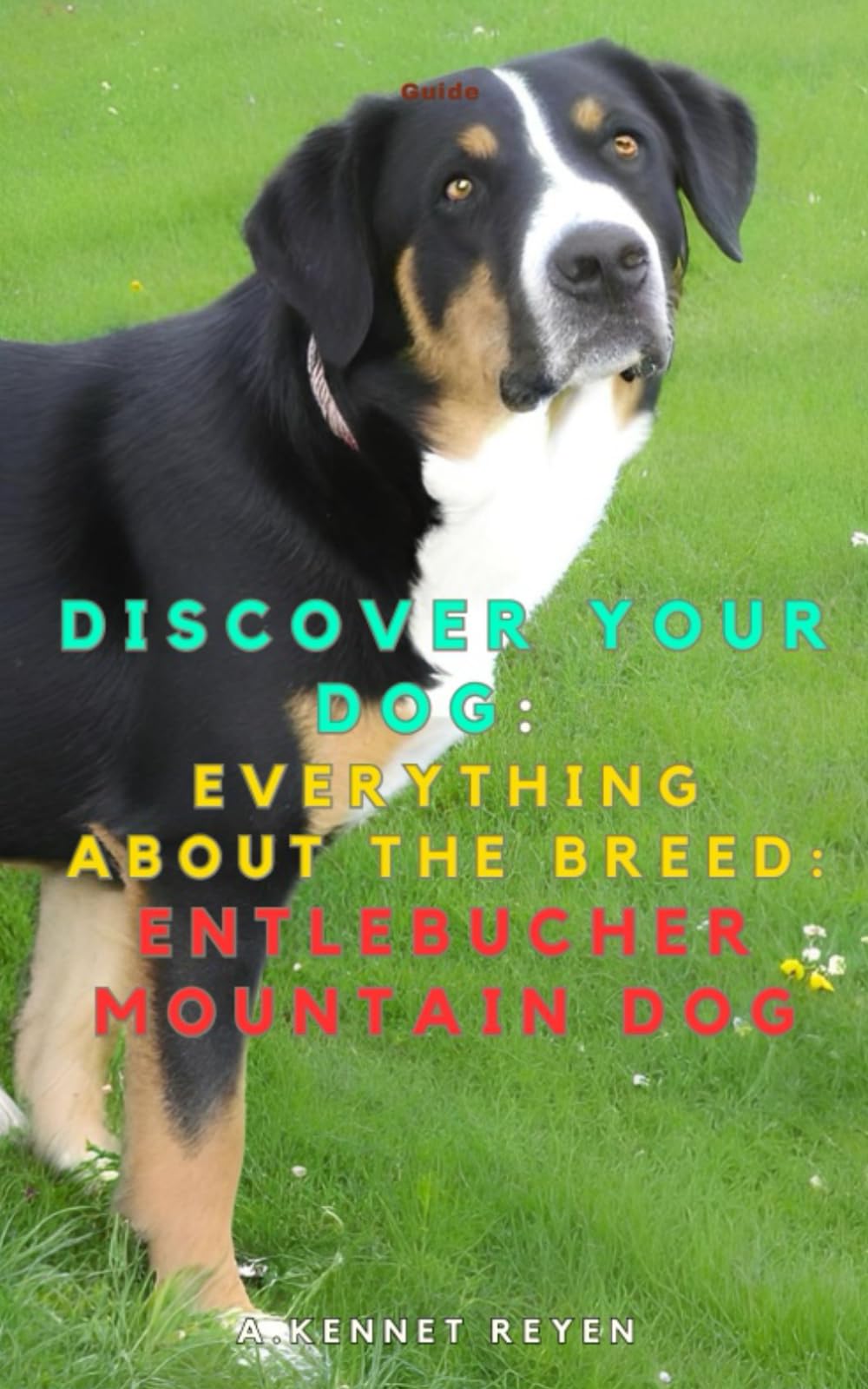 Discover your dog: Everything about the breed: Entlebucher Mountain Dog