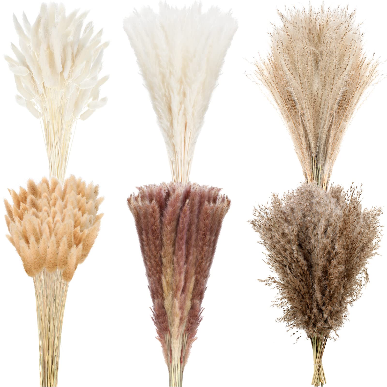 Treela 325 Pcs Dried Pampas Grass