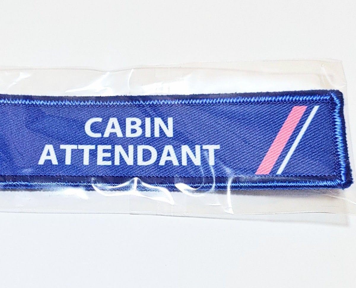 Amazon.co.jp: ANA 全日空 フライトタグ 客室乗務員 : おもちゃ