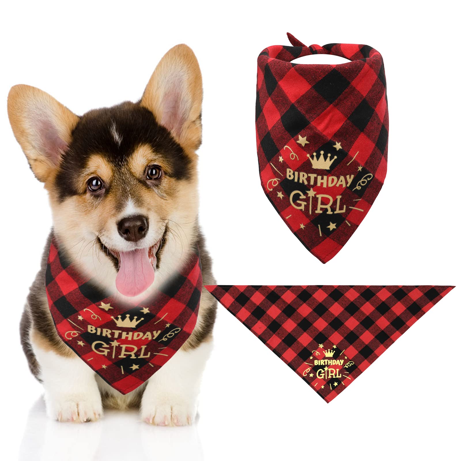Hunde-Geburtstags-Set Mit Paillettenmütze & Bandana – Für Kleine & Mittelgroße Hunde