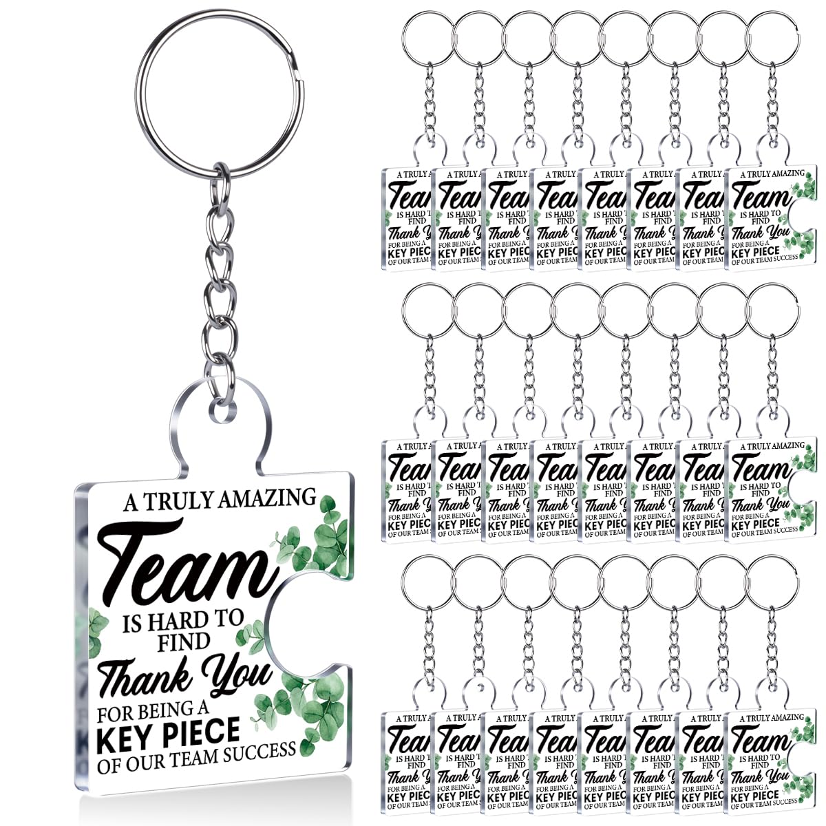 Team Appreciation Gifts Bulk Thank You Keychains for Coworkers