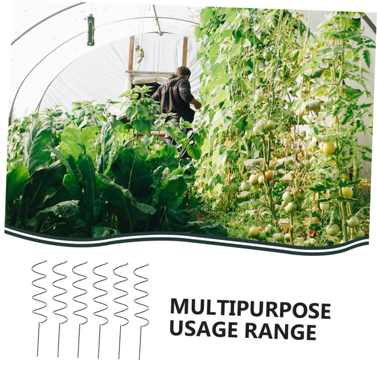 Lot de 8 Tuteurs Spiralés en Fer pour Plantes de Jardin