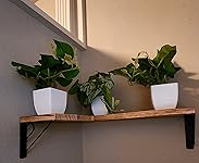 Review Image by Paul and Kim L. Paul and Kim L.