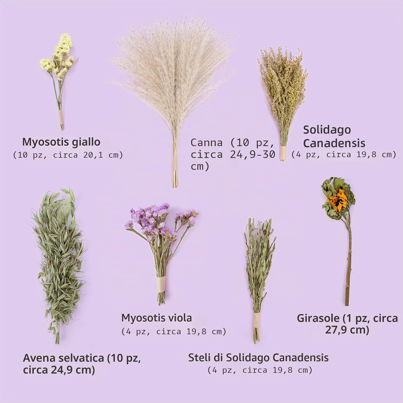 Niteangel Decorazione Habitat per Piccoli Animali in Fibra Naturale e Morbida, Adatta per criceti Nani siriani, gerbilli, Topi, Degus (Versione a Fiori)