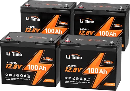 LiTime 12v 100Ah RV & Marine LiFePO4 Battery, 12 Vlot