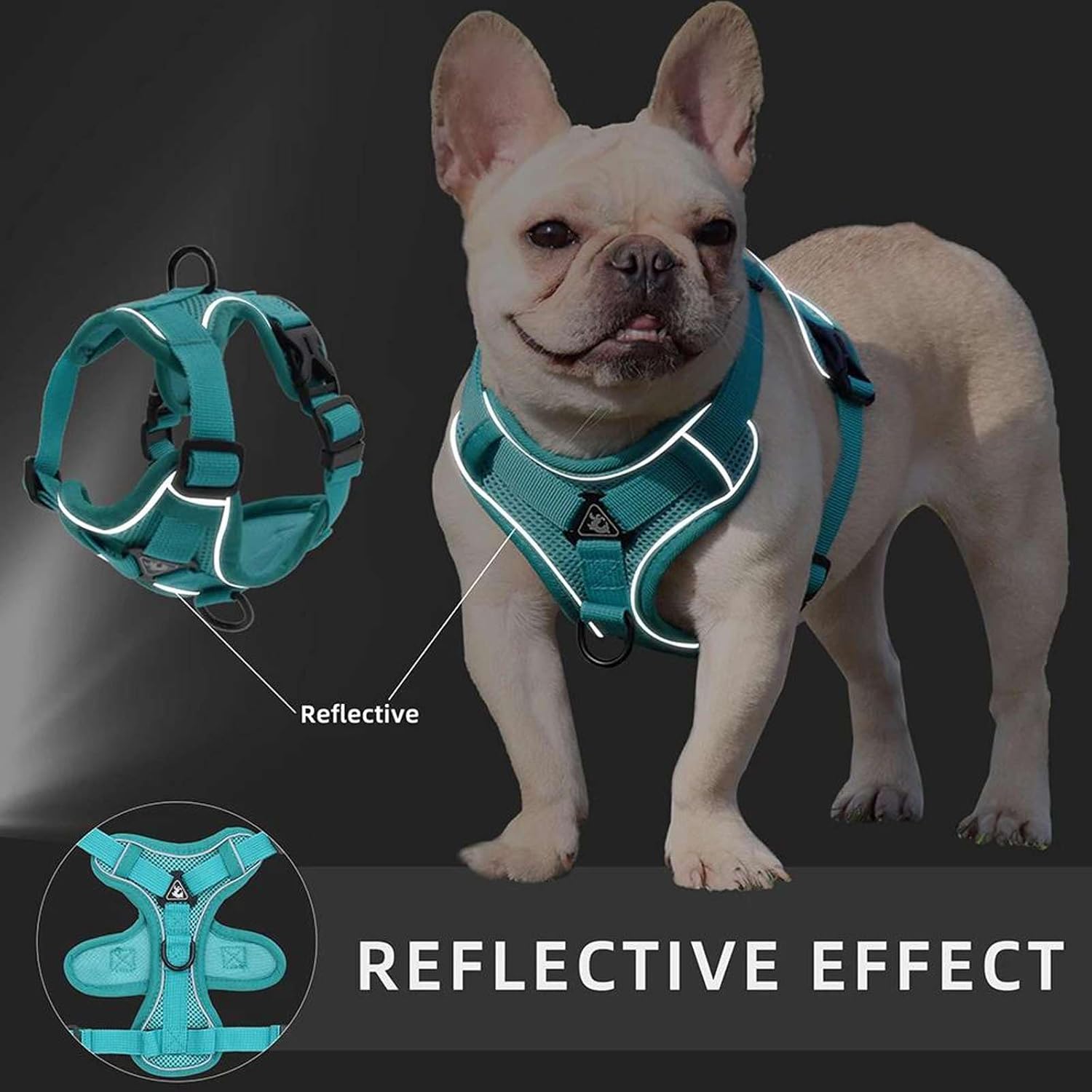 Cat Harness with 1.5m Traction Leash for Small Medium Dog No Pull Breathable Reflective Adjustable