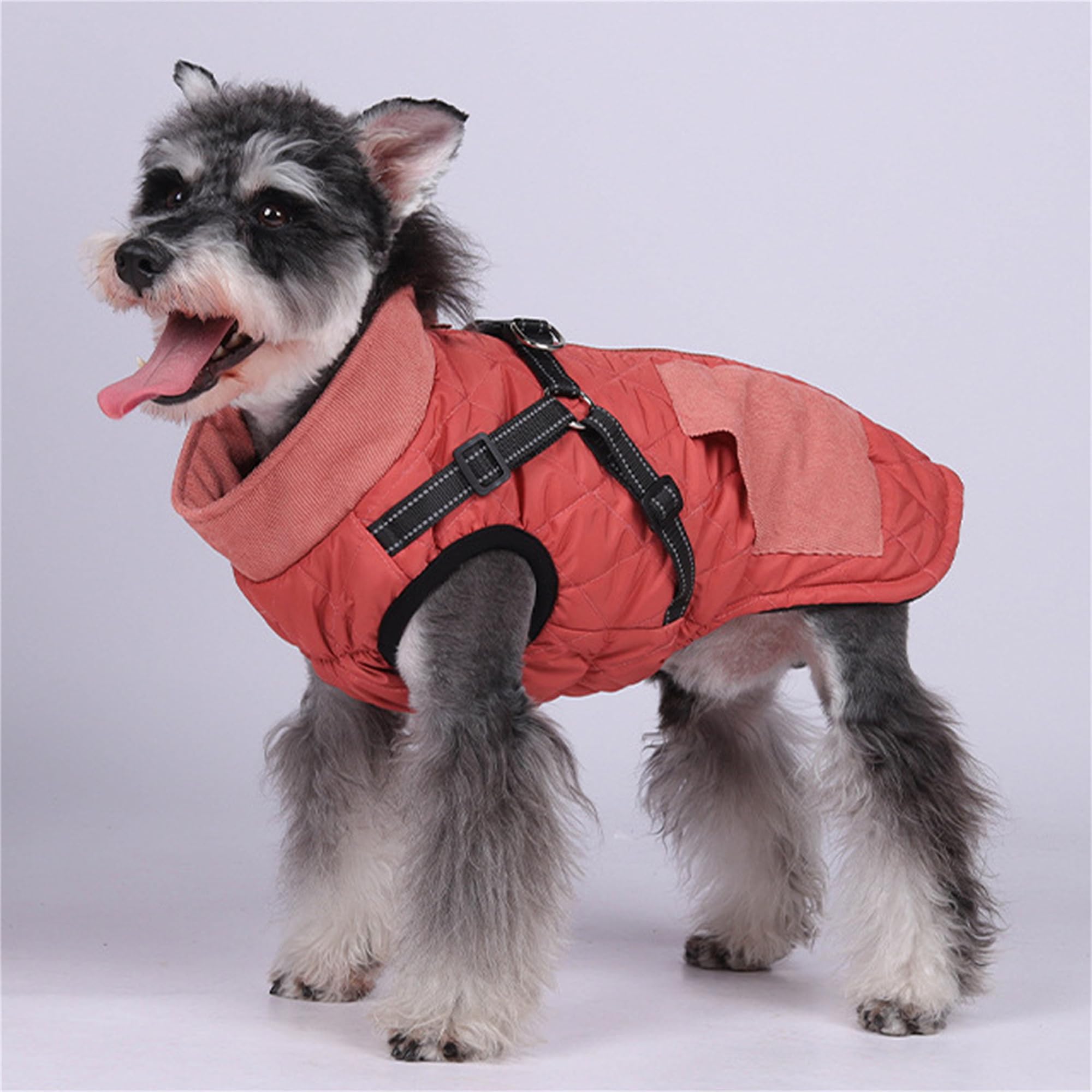 Amazon | JPETTOペット服 冬服 ダウンコート犬服 ダウンジャケット