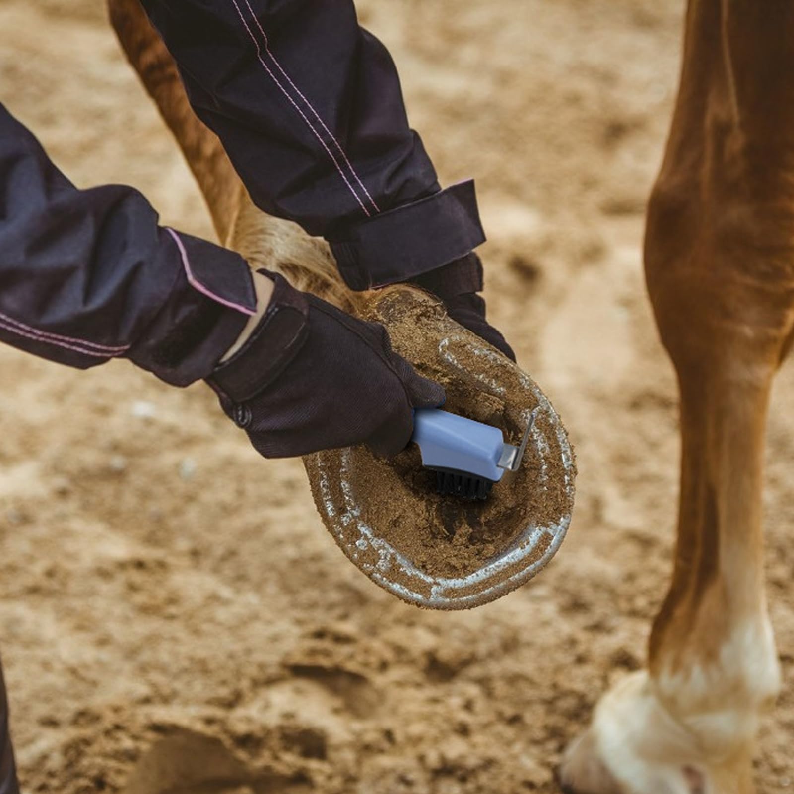 Kit de aseo de caballos, 5 piezas con cepillo para pezuñas, peine de cola, raspador de pelo, cepillo facial para cuidado equino