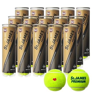 ★値下げ中★超美品!★おすすめ★硬式テニスボール(約60球) DUNLOP AO 新品未開封品】硬式テニスボールDUNLOP St.JAMES 60球(15缶
