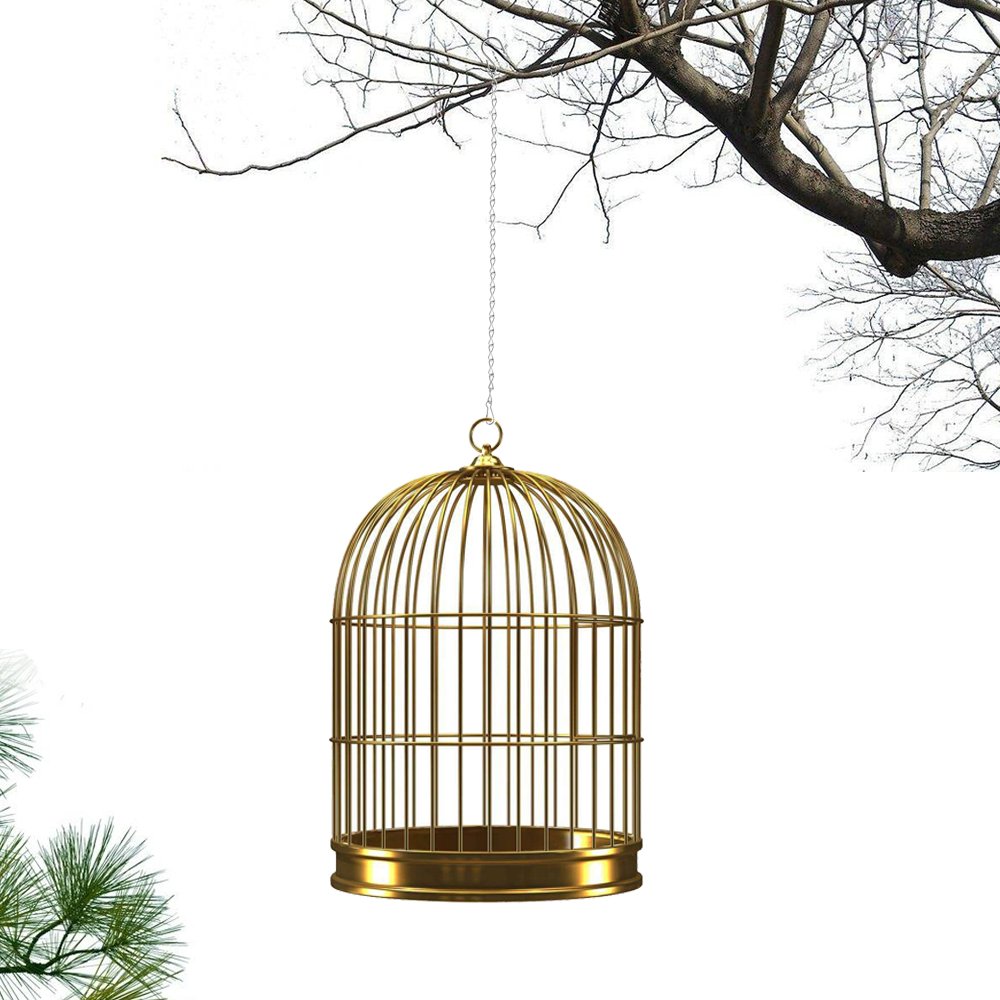 Catena per Lampada a Sospensione da 2 Pezzi, Catena per Sospensione di Illuminazione da 1 M per Lampadario a Sospensione per Piante da Esterno per Interni(d'oro