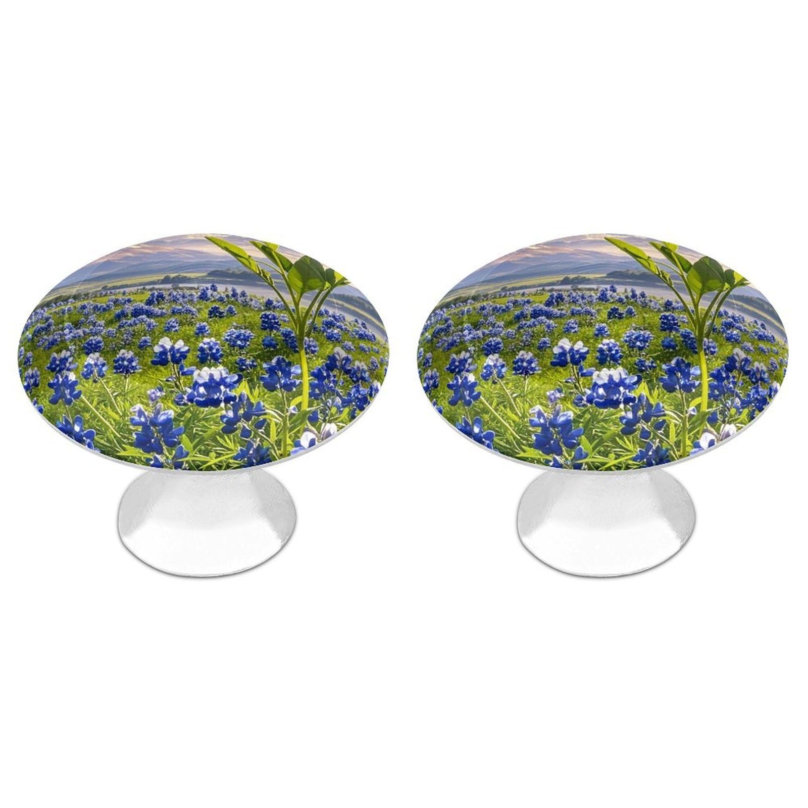 Vstadank Style Bluebonnets Scenery Cabinet Knob 2 Pack Round Drawer Pull Kitchen Cabinet Hardware Stainless Steel Dresser Drawer Knob Simple Cabinet Pull For Dresser Closet Door Knobs Cupboard