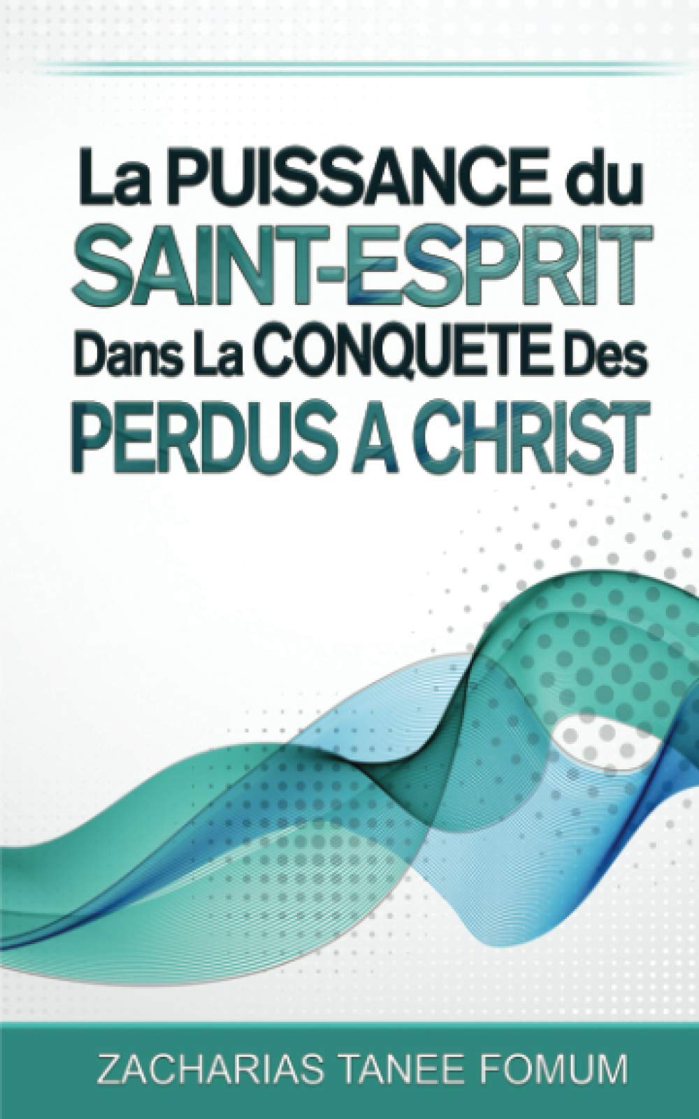 La Puissance du Saint-Esprit dans la Conquête des Perdus a Christ: 8 (Aide Pratique Dans la Sanctification)