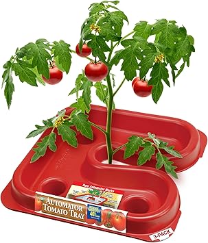 Dalen Automator Tomato Growth Trays with Reflective Surface and 0.5 Gallon Water Reservoir, 3-Pack, 12 x 12 inches - Root Watering Basin with Fertilizer Spikes - Red