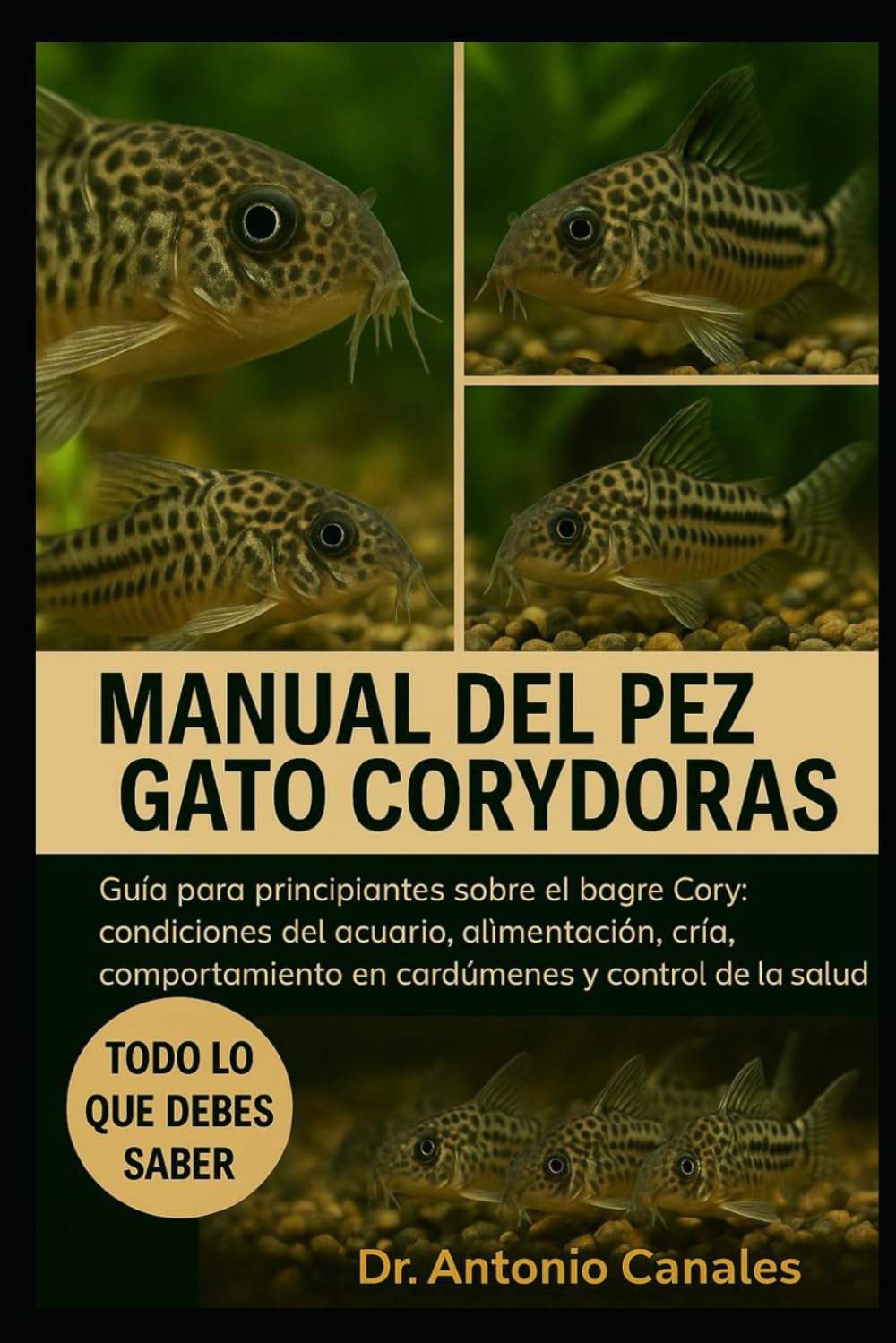 MANUAL DEL PEZ GATO CORYDORAS: Guía para principiantes sobre el bagre Cory: condiciones del acuario, alimentación, cría, comportamiento en cardúmenes y control de la salud