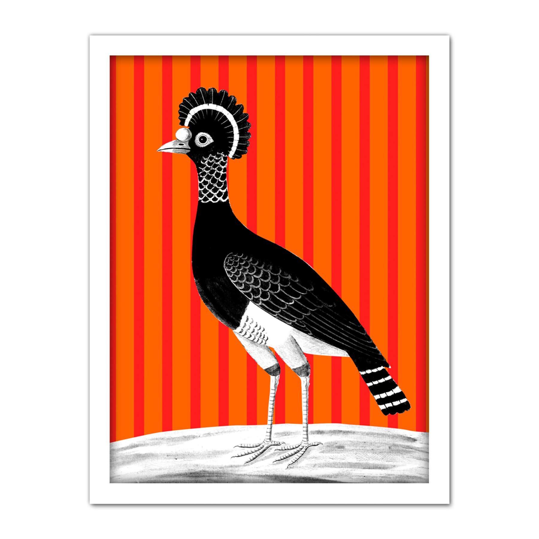 Wee Blue Coo Tall Birds On Stripes Carafson Hen Artwork Framed Wall Art Print 18X24 Inch