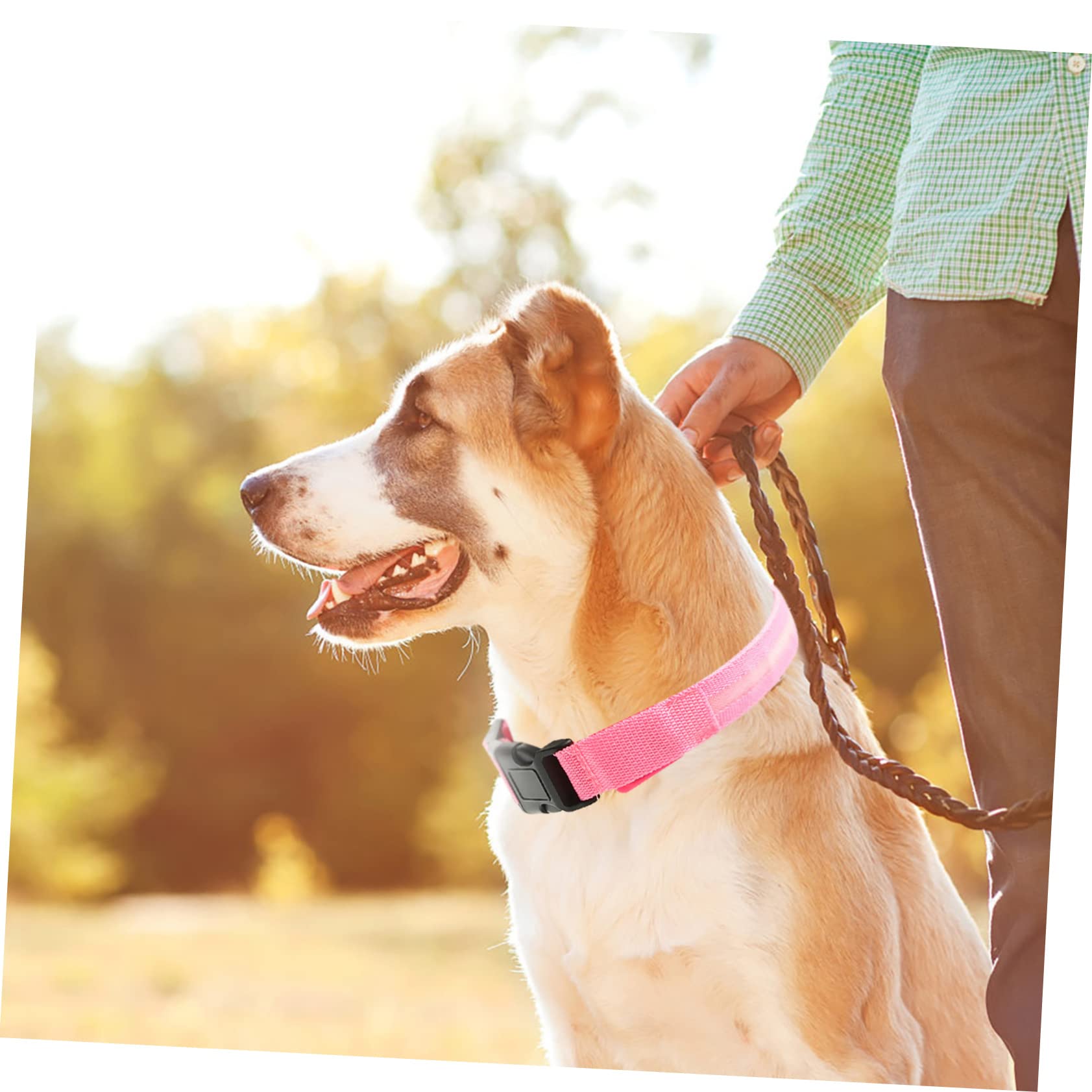 INOOMP 4 Set Collare Per Cani Collana Led Cane Colletto Luminoso Collare Per Cucciolo Collari Per Cuccioli Per Cuccioli Piccoli Sicurezza Rosa Poliestere Gatto Domestico Serigrafia