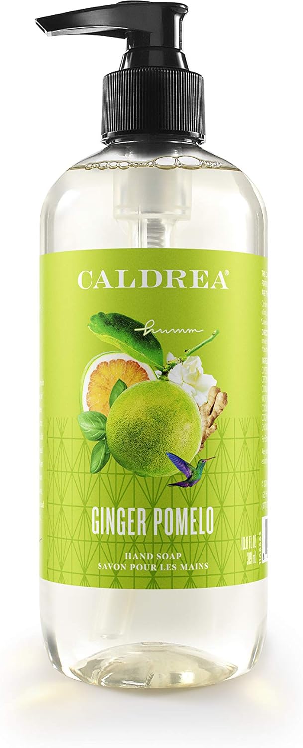 Caldrea Hand Wash Soap, Aloe Vera Gel, Olive Oil and Essential Oils to Cleanse and Condition, Ginger Pomelo Scent, 10.8 Fl Oz (Pack of 2) : Everything Else