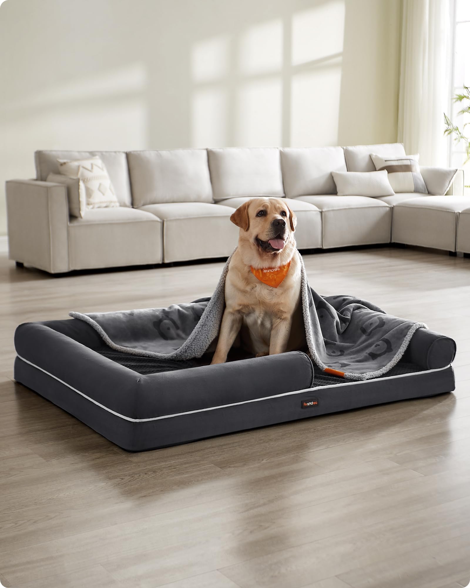 Feandrea Cuccia per Cani Ortopedica, Letto Divano per Animali, Imbottitura Morbida, Bordi Rialzati, Copertura Sfoderabile e Lavabile, 135 x 107 x 25 cm, Fondo Antiscivolo, Grigio Scuro PGW079G01