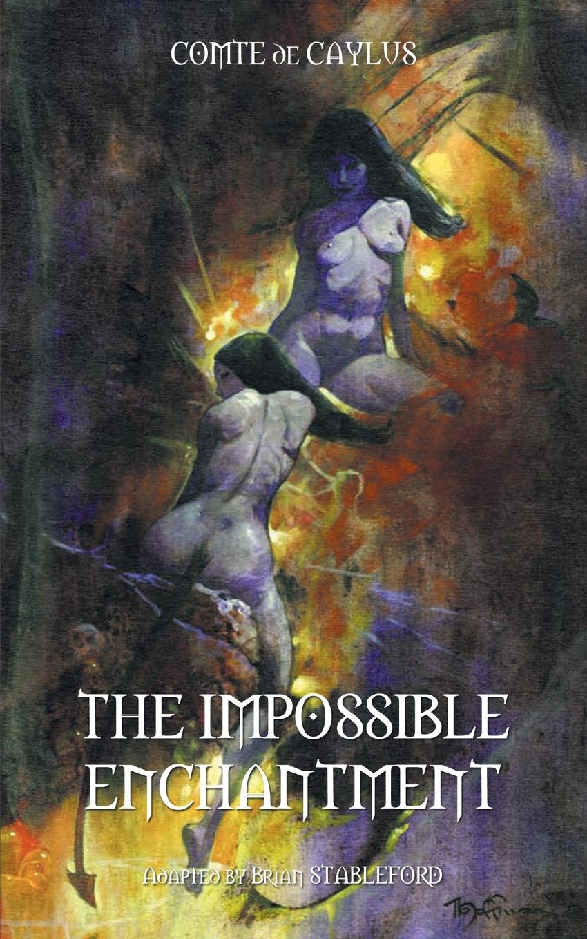 Buy The Impossible Enchantment — BookShops.in