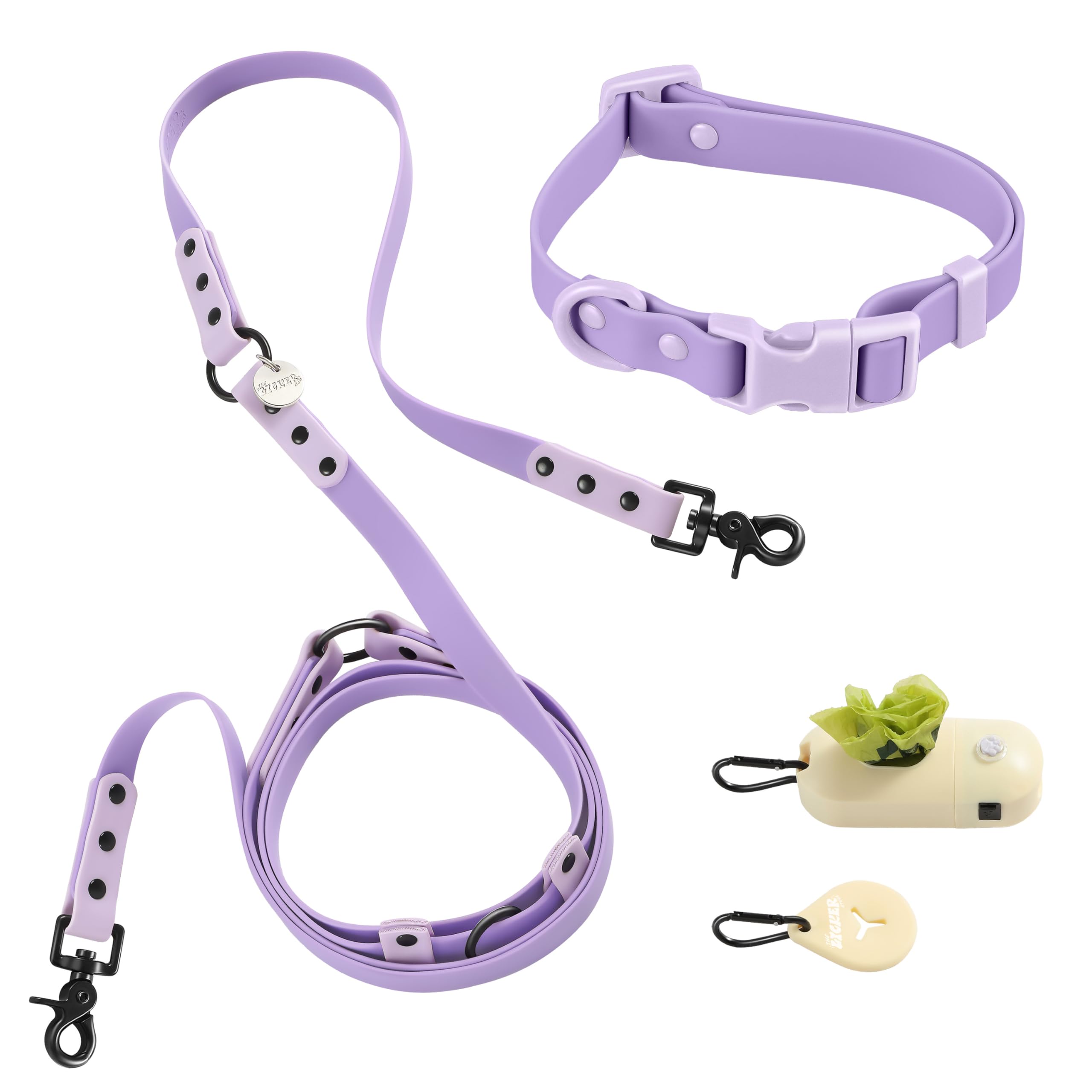 Laisse et collier mains libres pour chien qui tire avec lampe LED