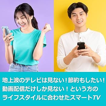 NTT受信料が要らない　動画配信視聴専用TV24V型 チューナーレスNET TV NTT受信料が要らない 動画配信視聴専用TV24V型 チューナーレスNET TV