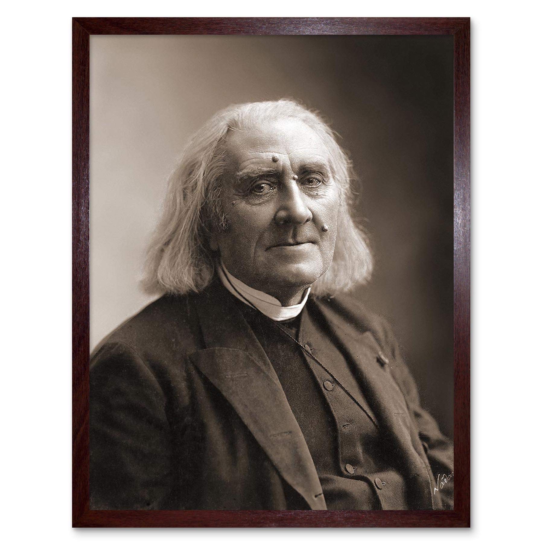 Wee Blue Coo Nadar Composer Franz Liszt Art Print Framed Poster Wall Decor 12X16 Inch