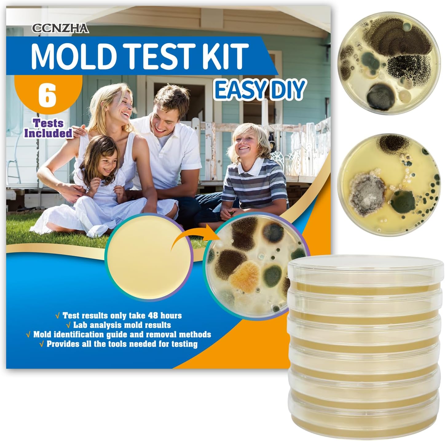 Mold Test Kit for Home -DIY Mold Testing Kit with 6 Individual Tests-Black Mold Detector-Indoor Air Quality Tester-Mold Identification Guide-Free Lab Analysis-Fast and Reliable Mold Detector at Home