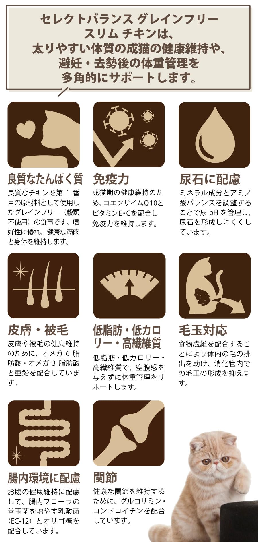 Amazon | ベッツチョイス セレクトバランス グレインフリー スリム