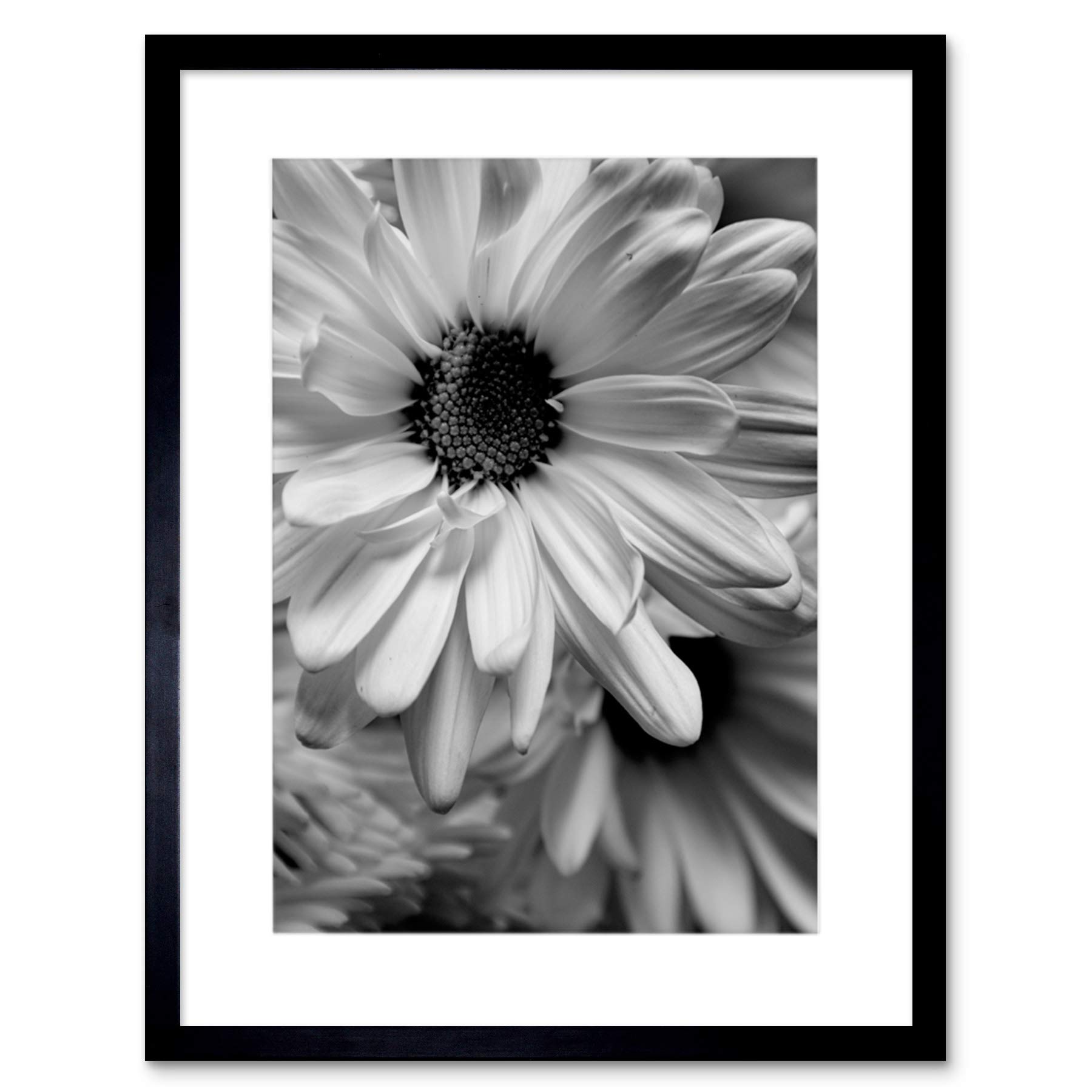 Artery8 Black White Gerbera Flower Living Room 12X16" Framed Wall Art Print from B&Q