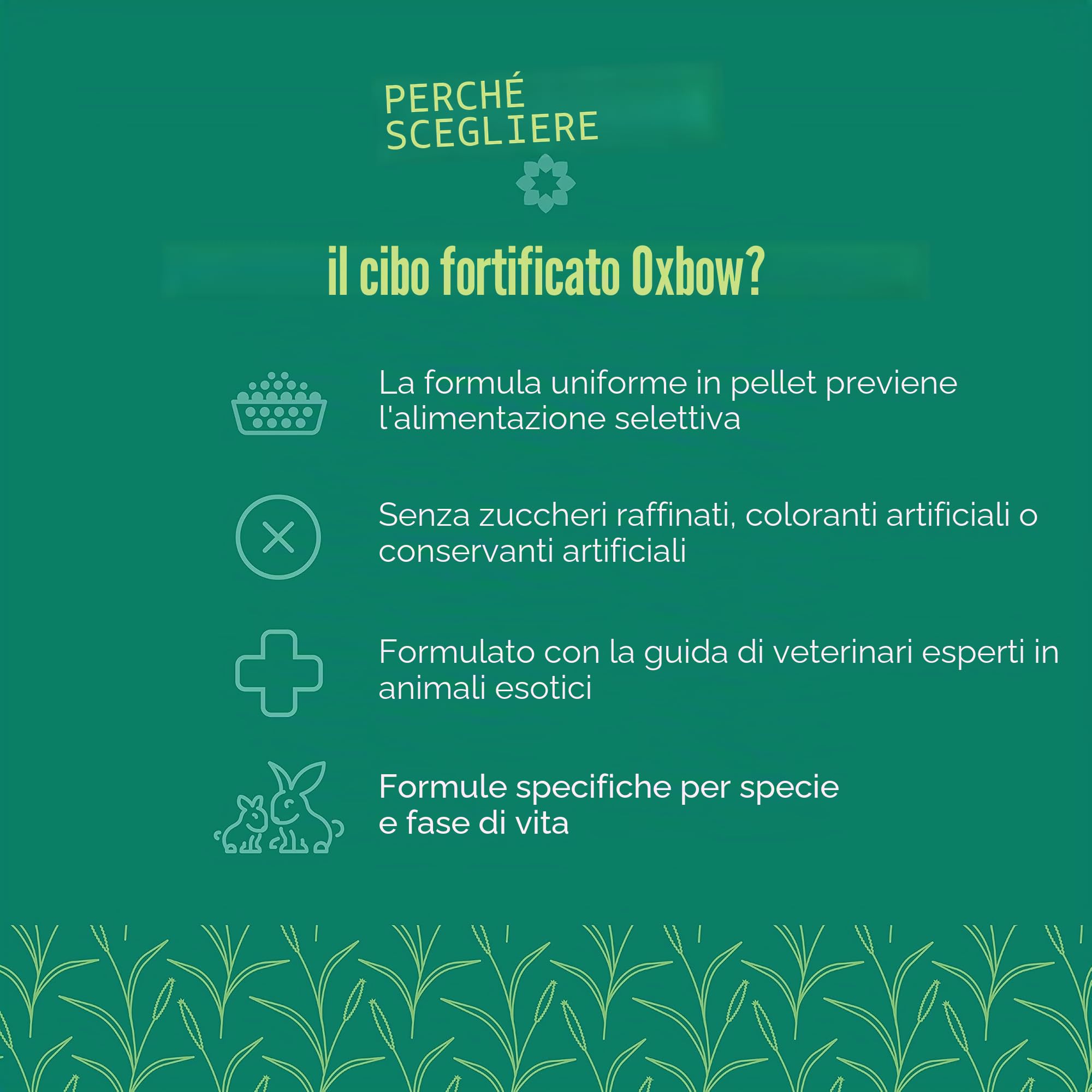 Oxbow Mangime per Chinchilla - 4500 Gr