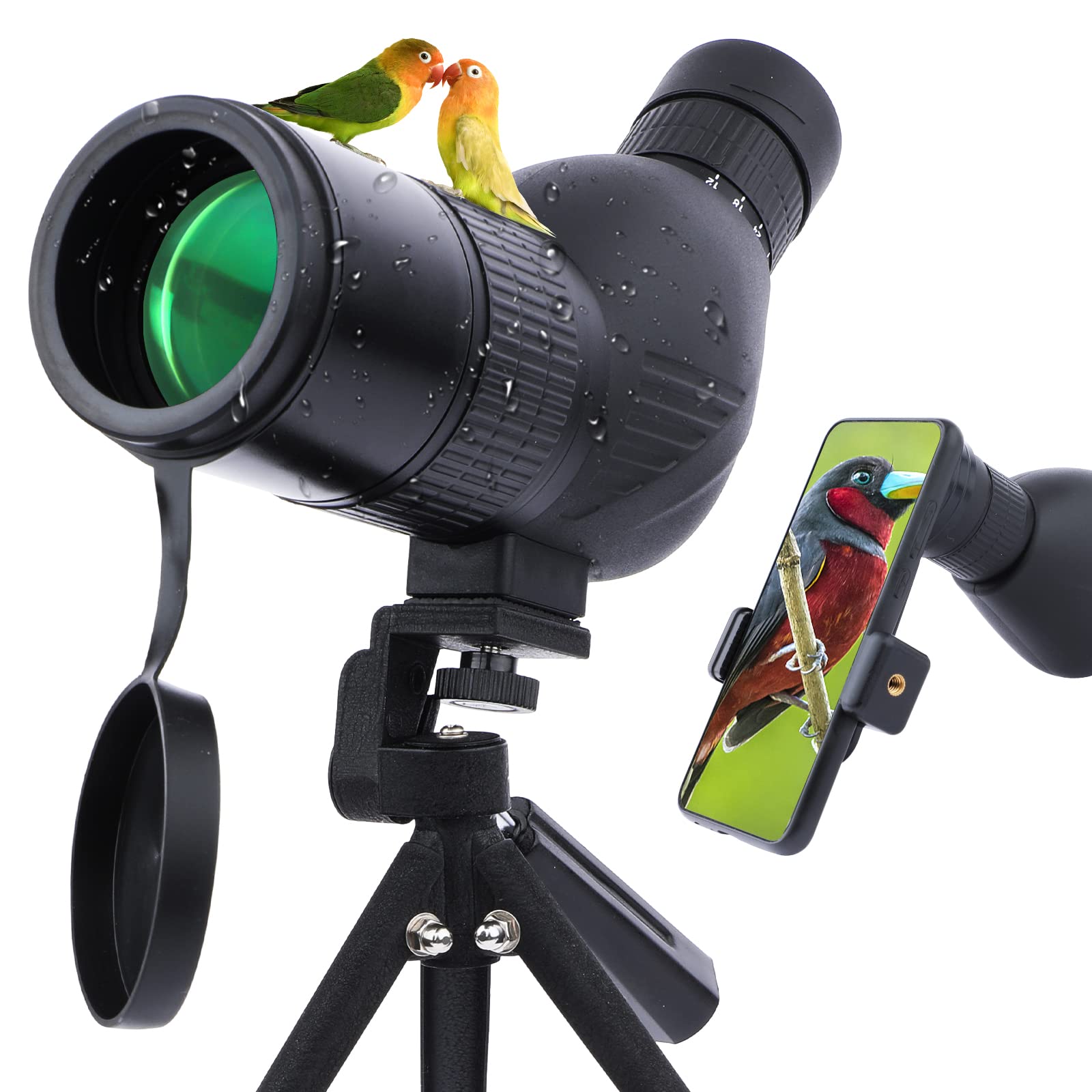 Neueste 12-36x50mm Compact Micro Spektiv wasserdichtes Spotter Scope mit BAK4 für Vogelbeobachtung Jagd
