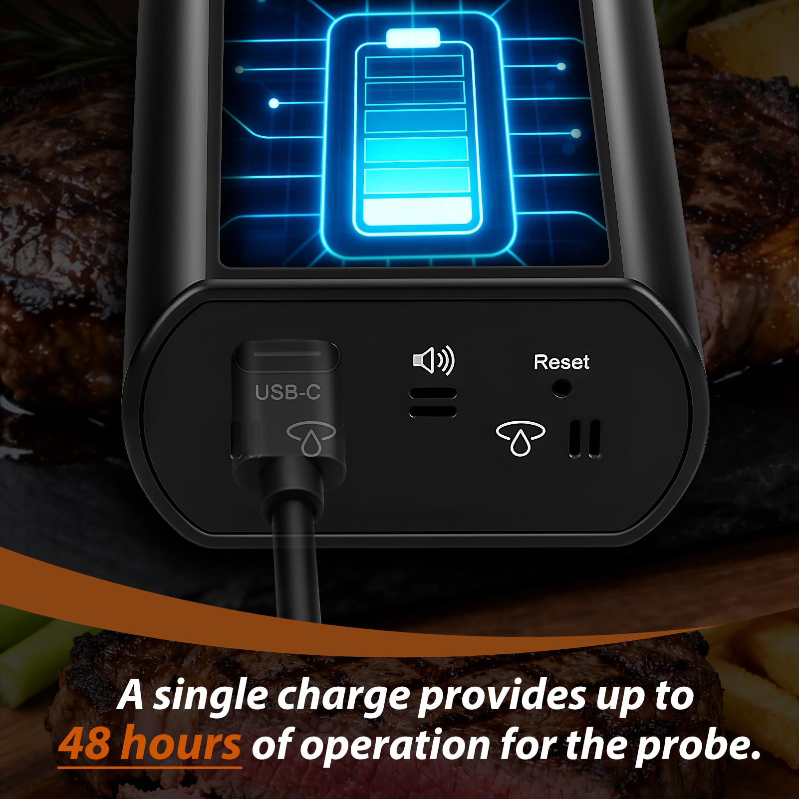 Termometro per carne senza fili Smart con Bluetooth, 2 sonde e funzione di memorizzazione, portata 150 m, impermeabile IPX8 per barbecue, affumicatore, forno, friggitrice ad aria - monitoraggio remoto