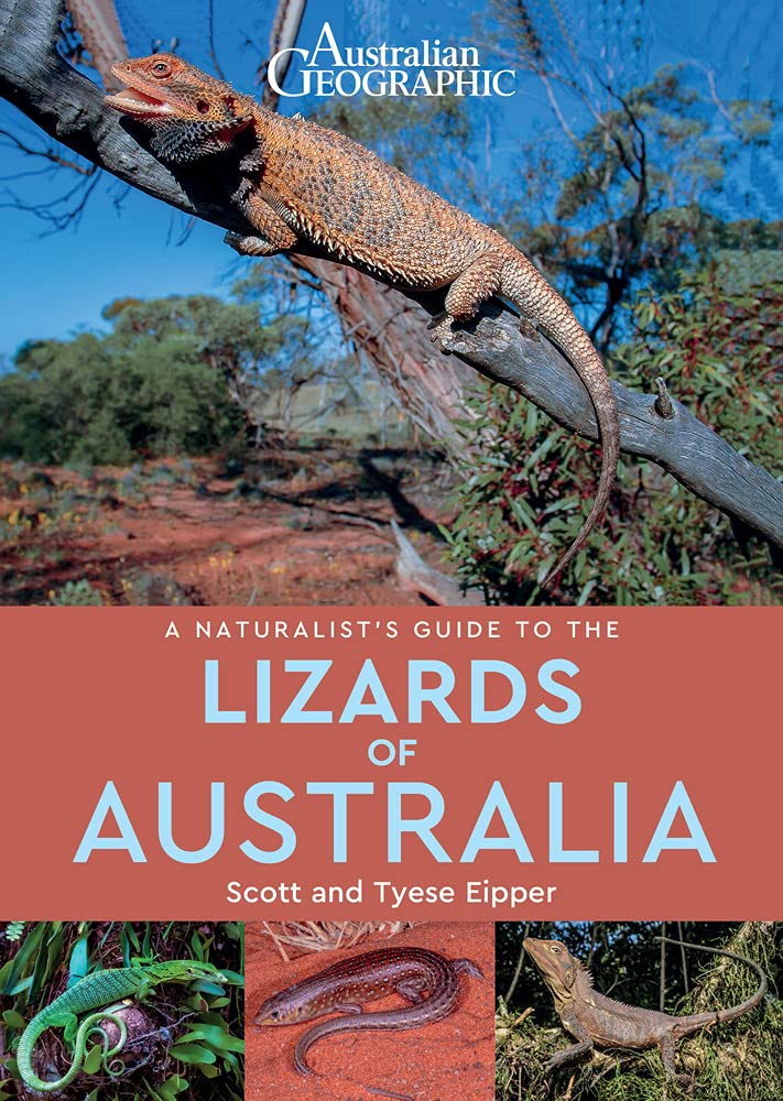 A Naturalist's Guide to the Lizards of Australia by Scott Eipper