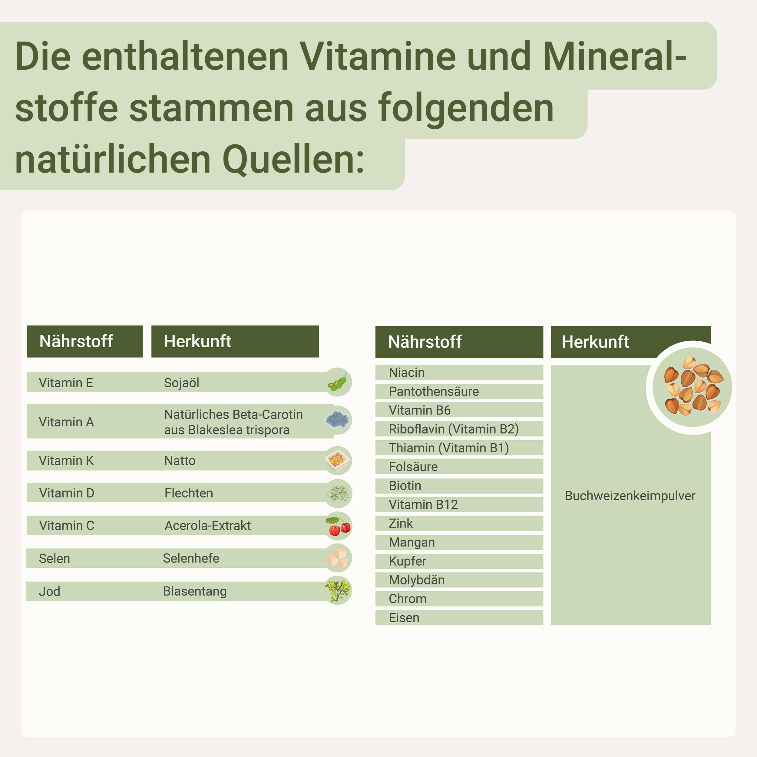 for you multi natural complete aus natürlichen Pflanzenextrakten 2x90 Kapseln - 100% natürliches hochdosiertes Premium Multivitamin-Multimineral Präparat